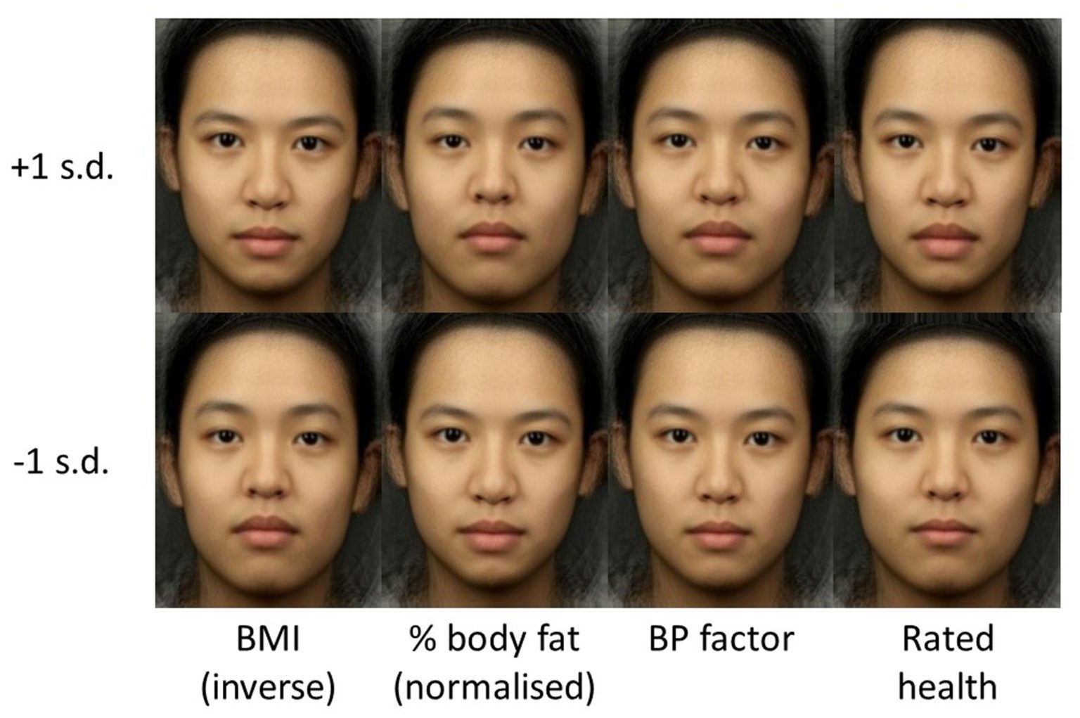 Bmi Inference Artificial Intelligence in Public Health: (Part 1) – Introduction to ...